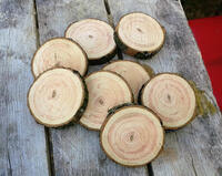 15cm Small Log Slice