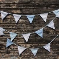 Shades of Blue Bunting