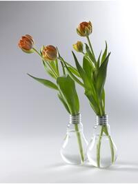 Medium Light Bulb Vase