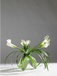 Medium 3-Flower Vase