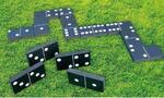 Giant Dominoes Giant Dominoes