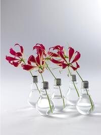 Small Light Bulb Vase