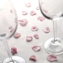 Preserved Rose Petals