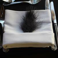 Napkins & Feather Napkins & Feather