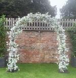 Blossom Arch 