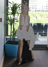 Celebrity Cardboard Cut-out