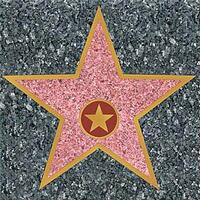Hollywood Walk of Fame Star Hollywood Walk of Fame Star
