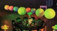 Coloured Lanterns Coloured Lanterns