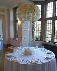 Orchid Centrepiece Orchid Centrepiece