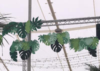 Hanging Leaves  Hanging Leaves